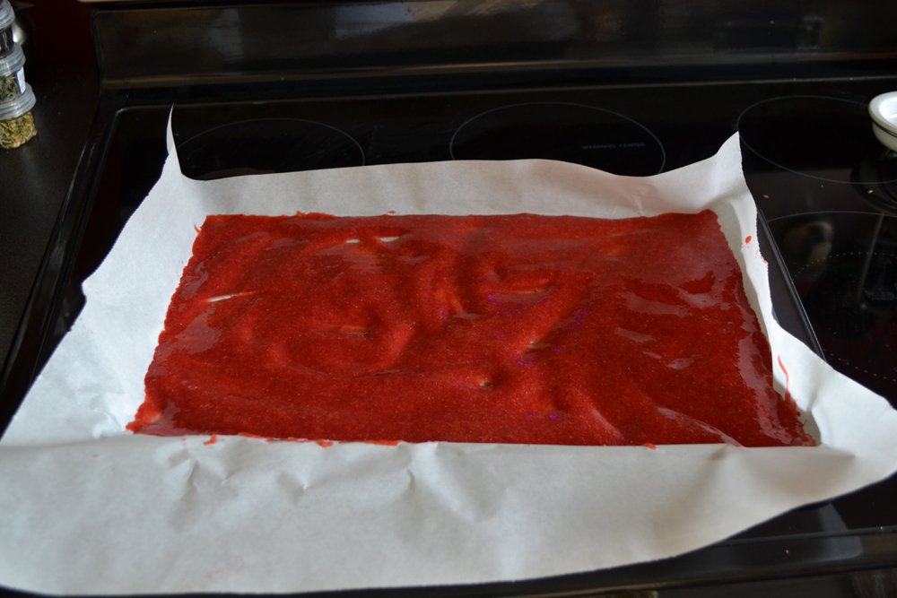 Homemade Strawberry Fruit Leather by The DIY Mommy