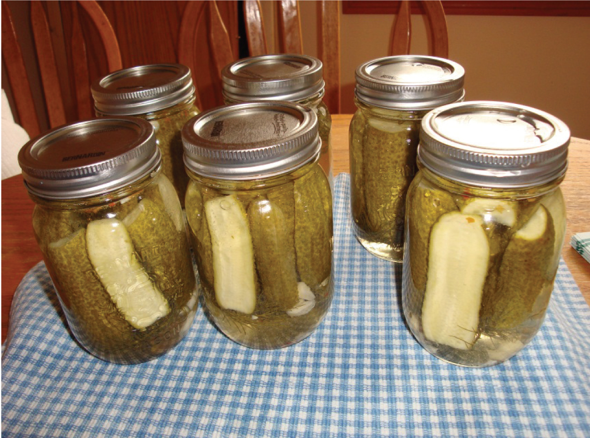 A Beginner's Guide to DIY Canning by Erin Heard for The DIY Mommy