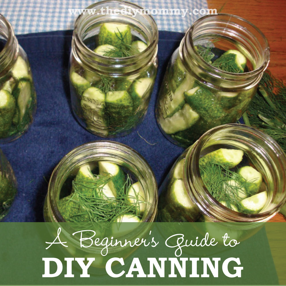 A Beginner's Guide to DIY Canning by Erin Heard for The DIY Mommy