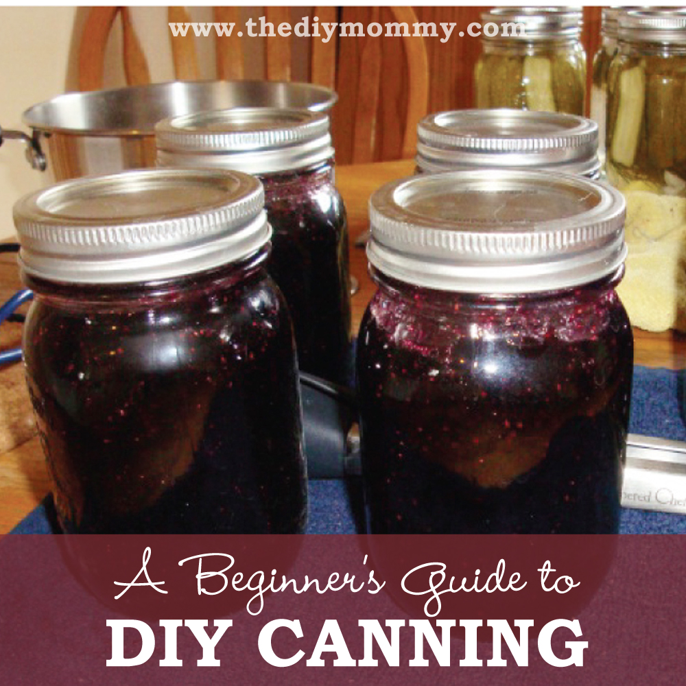 A Beginner’s Guide to DIY Canning: Part Two