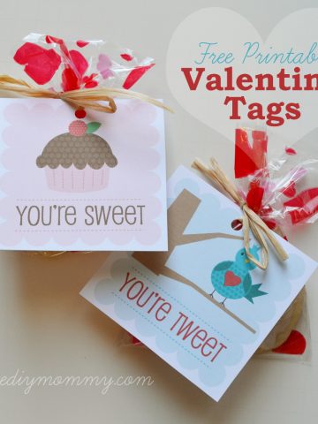 Free Printable Valentine Tags by The DIY Mommy