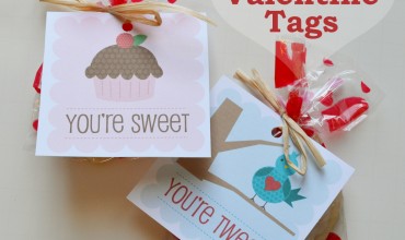 Free Printable Valentine Tags by The DIY Mommy
