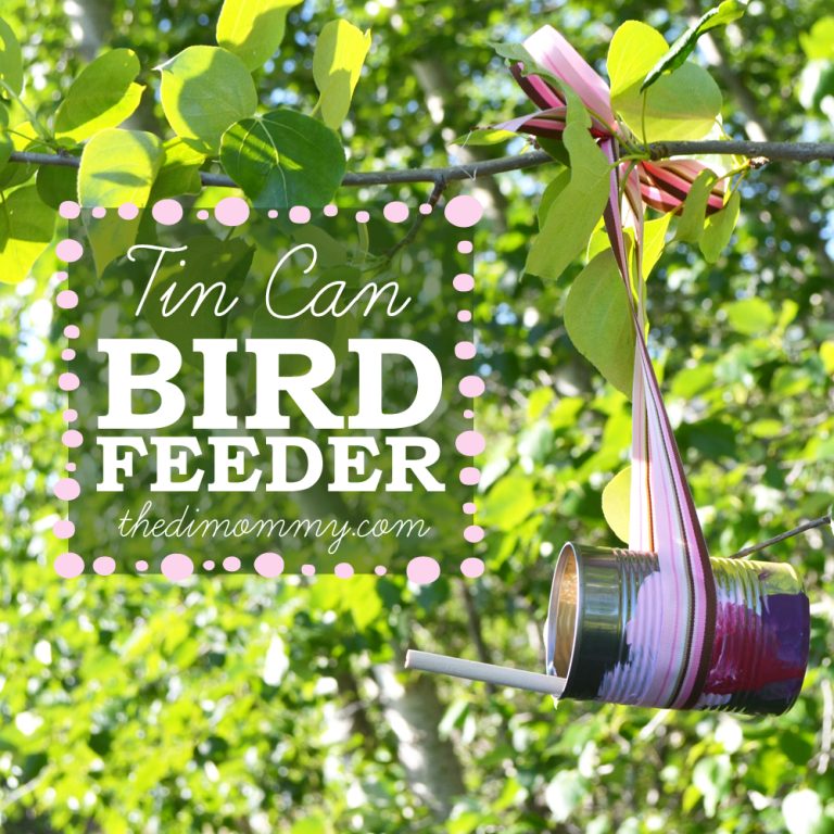 Make a Bird Feeder From A Tin Can (On The News!)