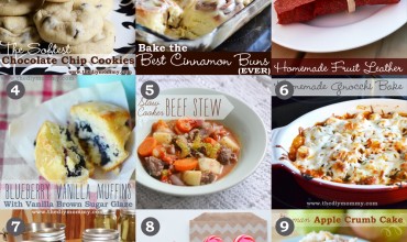 9 Favourite Recipes from The DIY Mommy