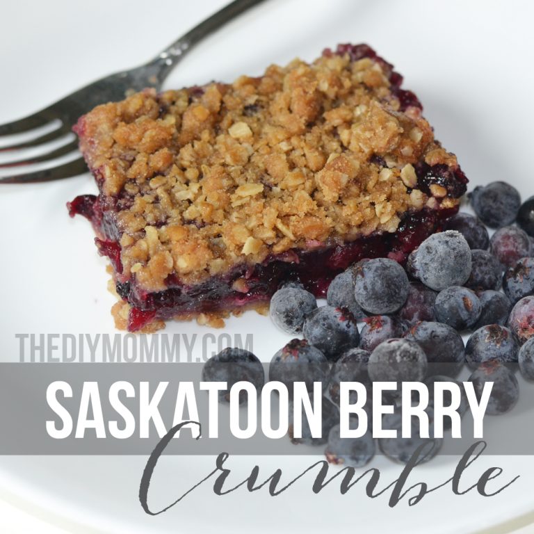 Saskatoon Berry Crumble