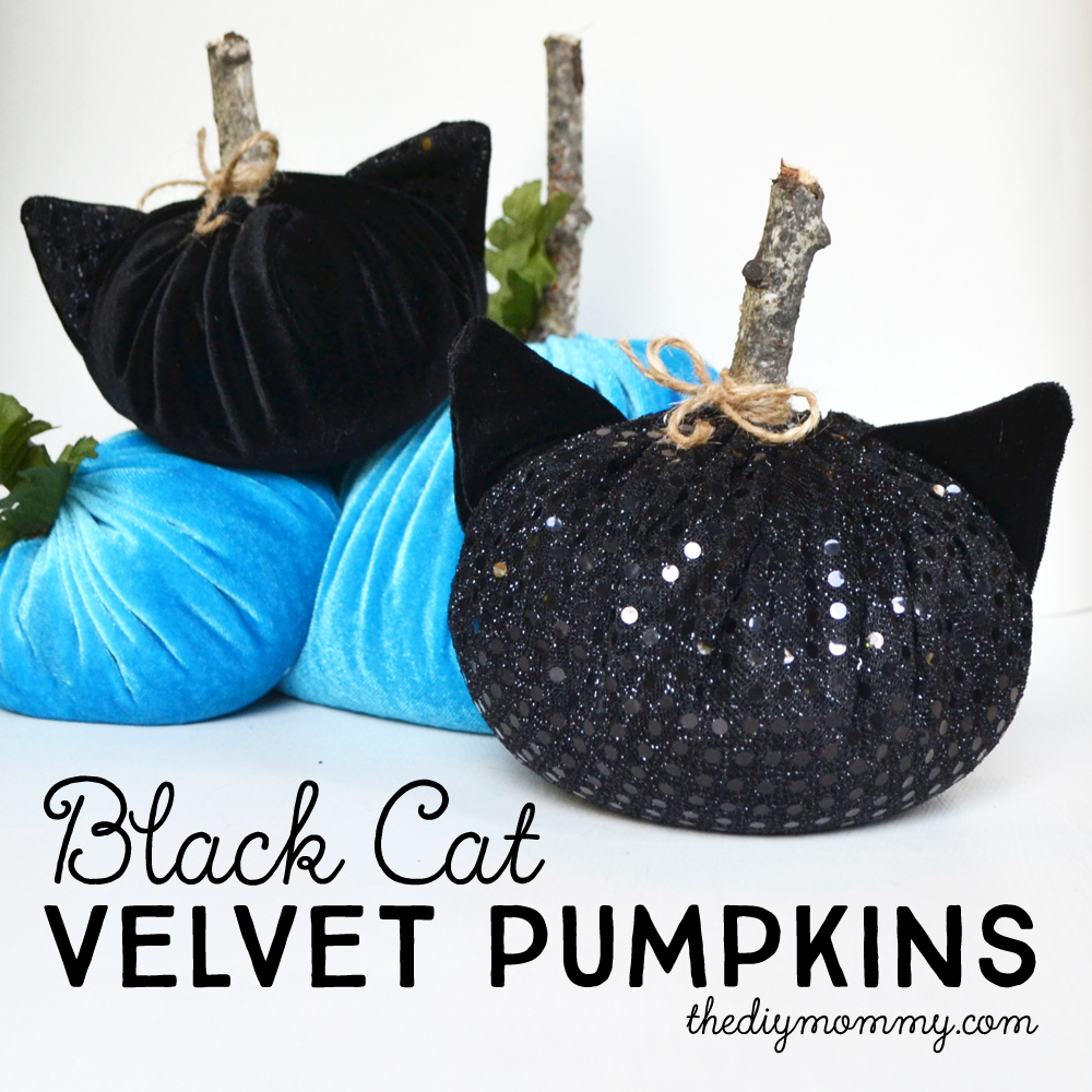 DIY Black Cat Velvet Pumpkins Decorations