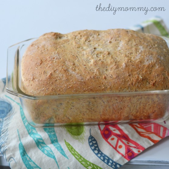 The BEST 100% whole wheat & honey bread recipe. It's quick to make, stays moist and delicious long after its baked, and uses healthy and simple ingredients. Great sandwich bread!