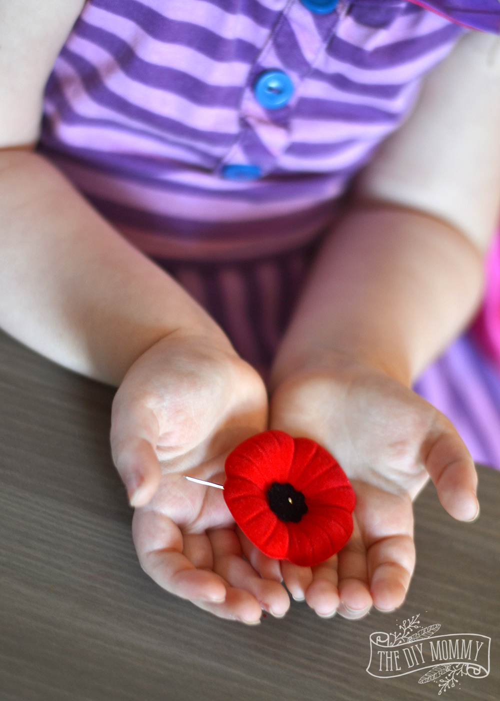 How to talk to your kids about Remembrance Day. Great Resources