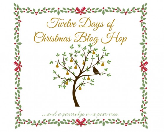 12 Days of Christmas Blog Hop 15 Talented Bloggers are getting together to share some inspiring Christmas Creations! Check out these DIY projects, Recipes, and Gift Ideas!!! #12DaysOfChristmasBlogHop