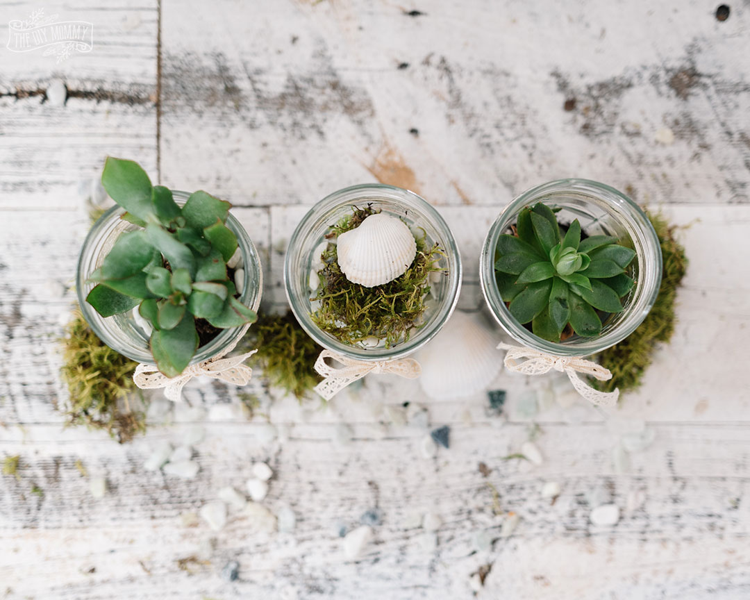 Upcycle jam jars into tiny terrariums with items you find around the house.
