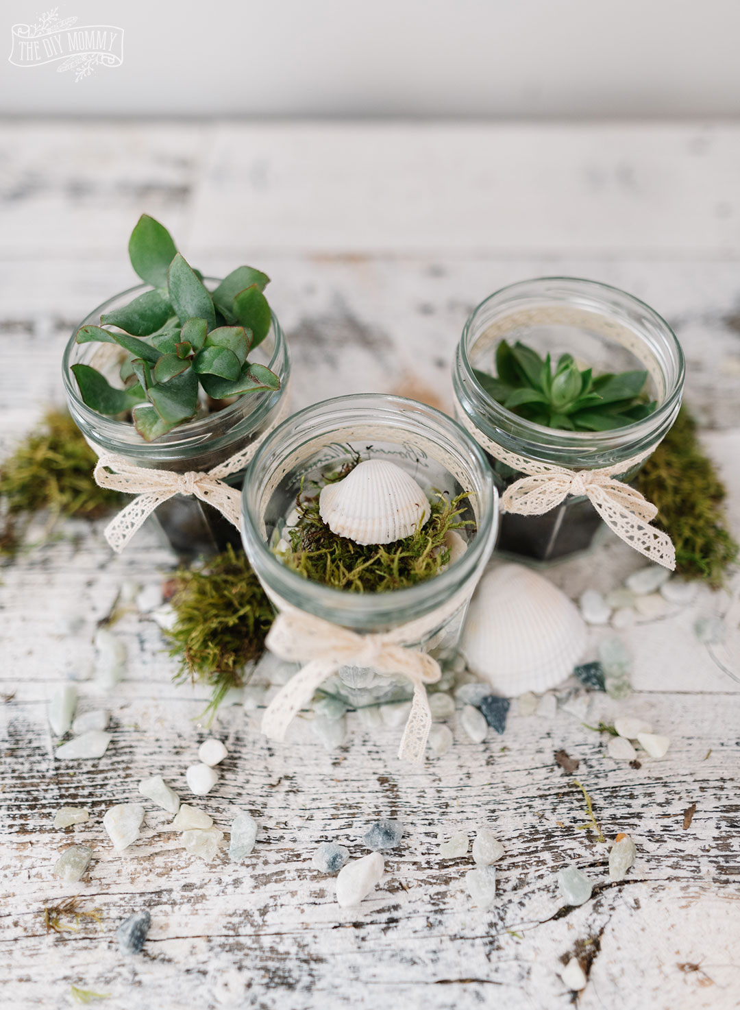 Upcycle jam jars into tiny terrariums with items you find around the house.