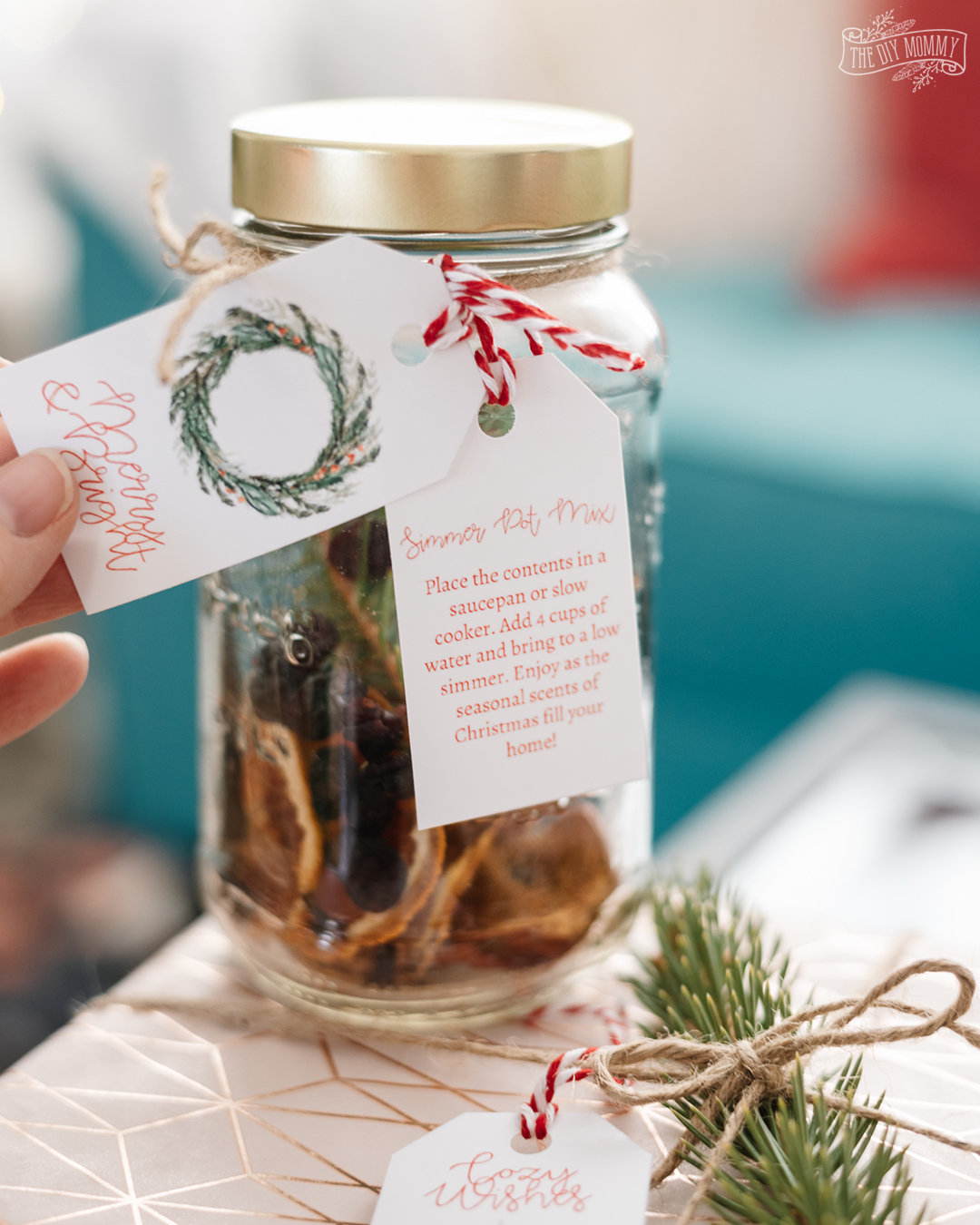 Easy and budget friendly simmer pot mix gift idea - simply add dried fruit, spices and greenery and some handmade tags!