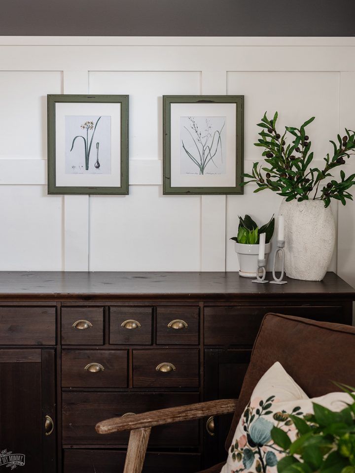 Learn how to find FREE vintage botanical art to print at home. This is a fantastic, budget-friendly wall art solution!