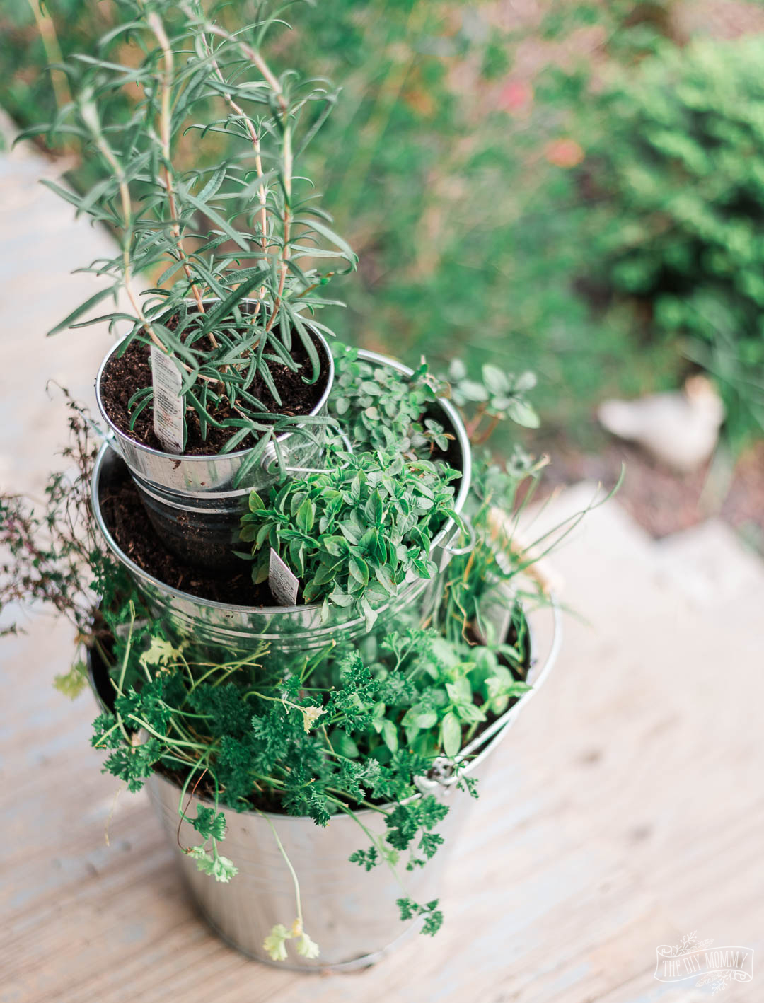 Make a Tiered Herb Planter with Dollar Store Buckets