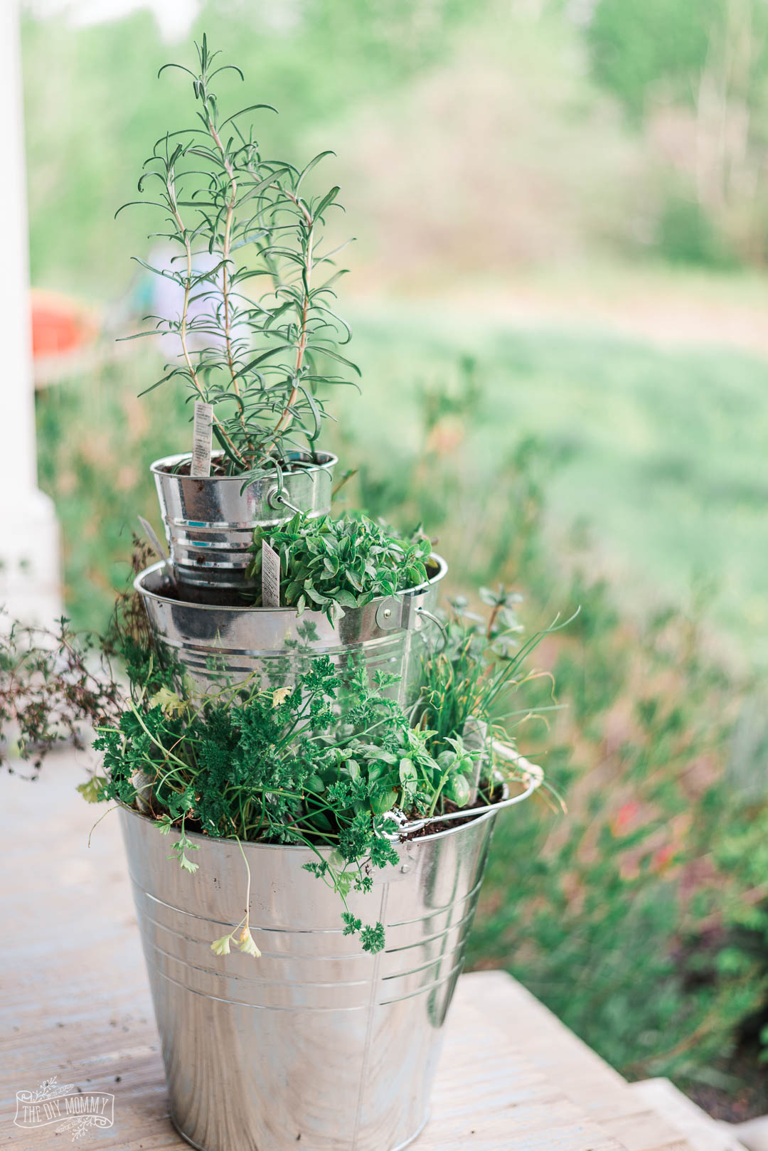 Make a beautiful DIY tiered herb planter from metal dollar store buckets. So easy!