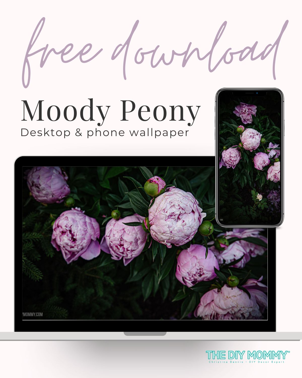 Free Wallpaper for your Phone & Computer: Moody Peonies
