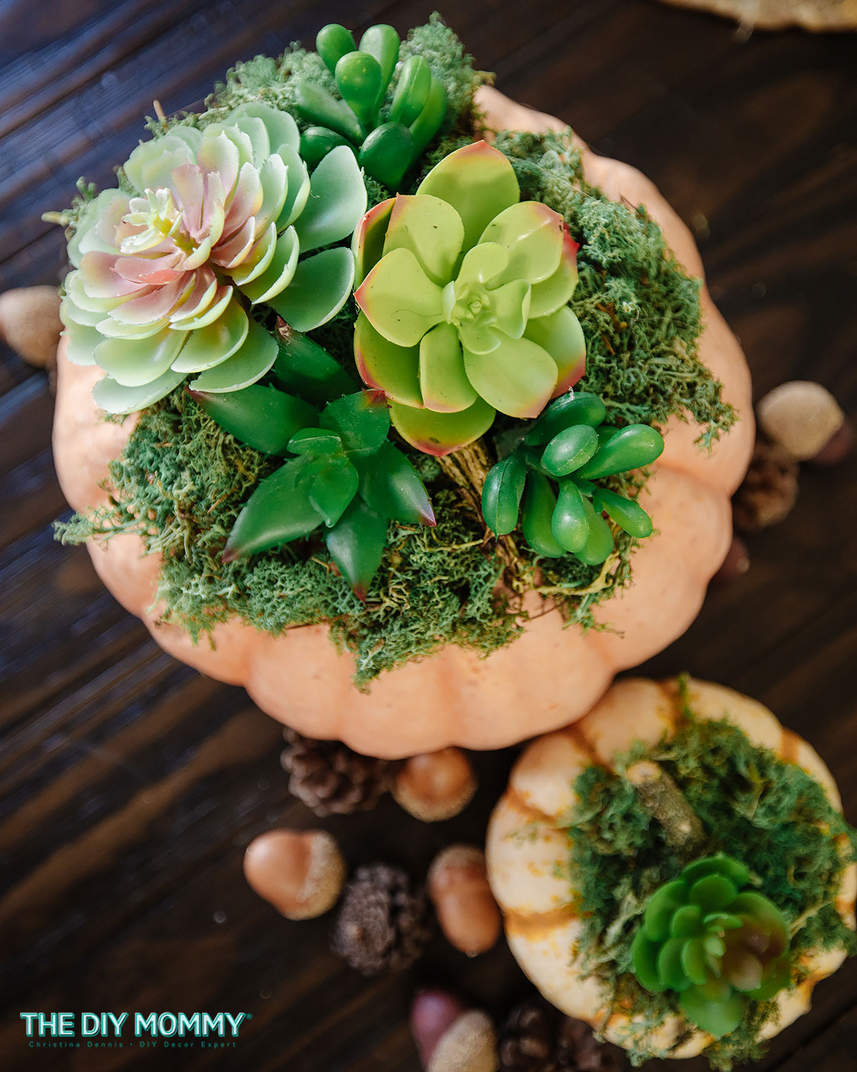 Make a Stunning Faux Succulent Pumpkin DIY Centerpiece
